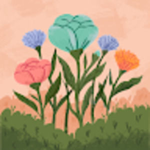 Meet your Posher, Maya